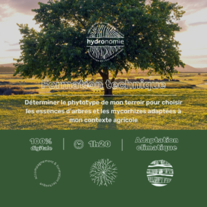 Déterminer le phytotype de mon terroir pour choisir les essences d’arbres et leur mycorhize adaptés à mon contexte agricole