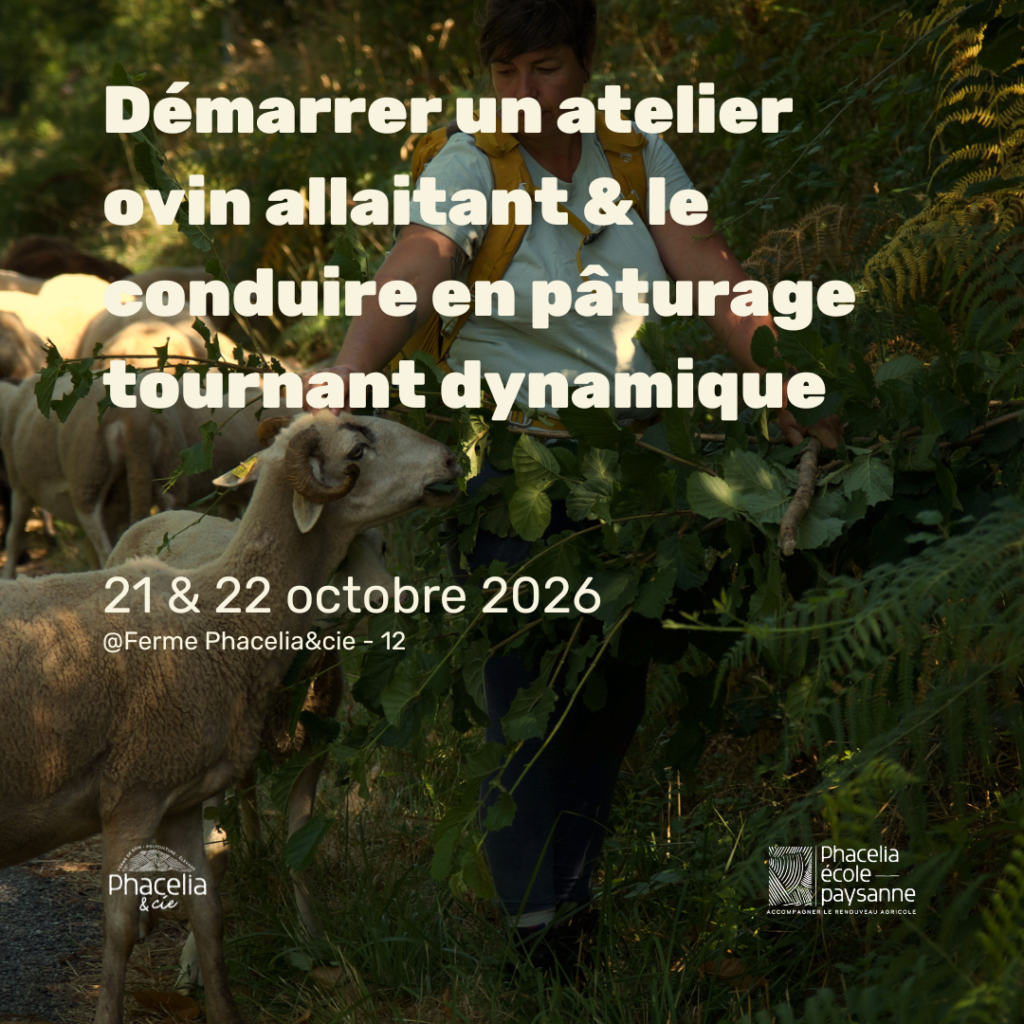 Démarrer un atelier ovin allaitant & conduire en pâturage tournant dynamique