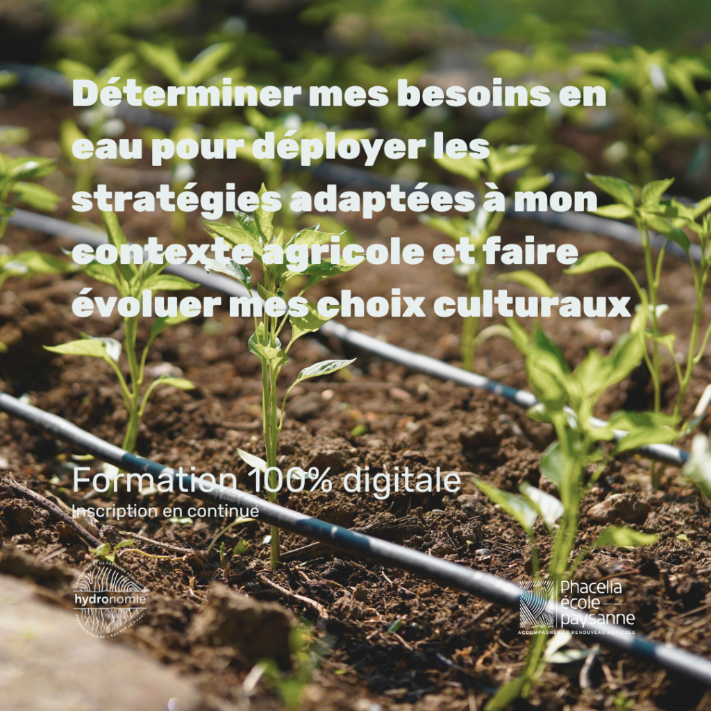 Déterminer mes besoins en eau pour déployer les stratégies adaptées à mon contexte agricole et faire évoluer mes choix culturaux