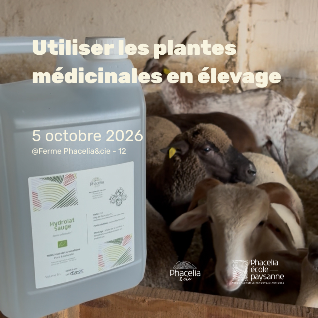 Utiliser les plantes médicinales en élevage